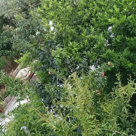 Spacious House With A Big Garden And Fire Pit تيرانا