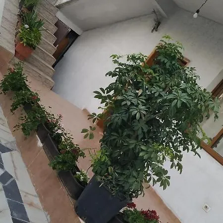Holiday home Spacious House With A Big Garden And Fire Pit Tirana