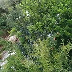 Spacious House With A Big Garden And Fire Pit Τίρανα