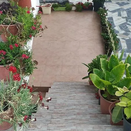 Spacious House With A Big Garden And Fire Pit Casa vacanze *