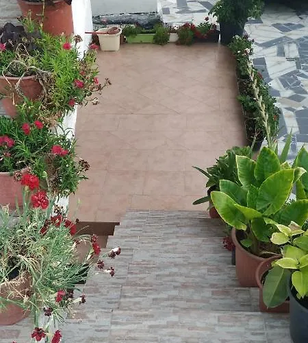 Spacious House With A Big Garden And Fire Pit 度假居 *