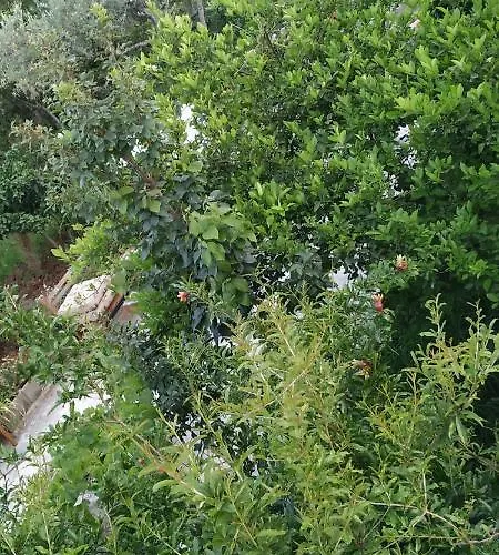 Spacious House With A Big Garden And Fire Pit 地拉那