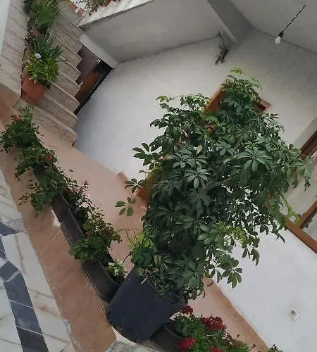 度假居 Spacious House With A Big Garden And Fire Pit 地拉那