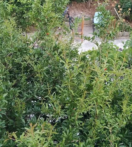 Spacious House With A Big Garden And Fire Pit 地拉那